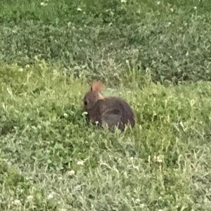 Meet your Posher, Mindy